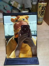leonar96 review photo