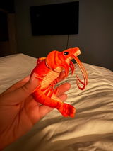 Etsy customer review photo