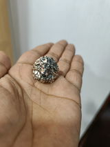 Raghu Rajan review photo