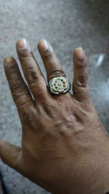 Rudra pratap singh review photo