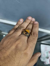Ashish Chatterjee review photo
