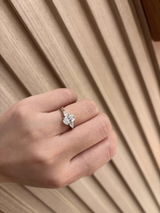 Stella review photo
