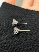 Silva review photo