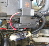 Westy review photo