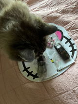 Lexi review photo