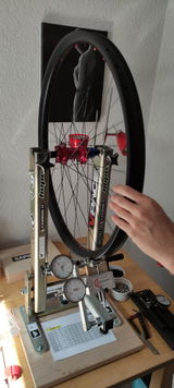 Rene Lorenz review photo