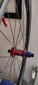 Rene Lorenz review photo