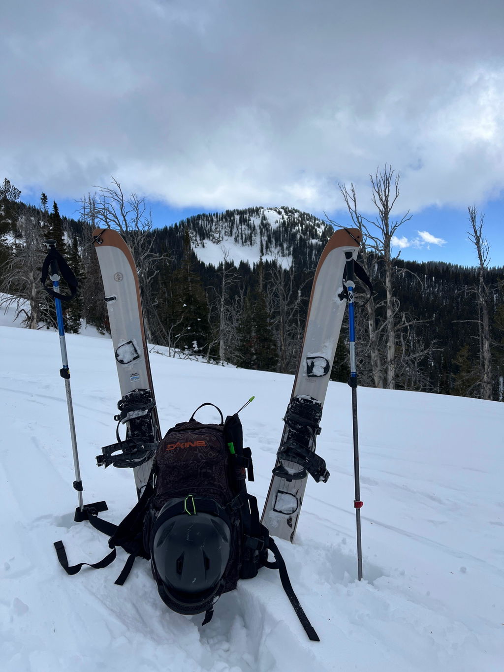 Crane Enduro Splitboard: All-Mountain Power – CARDIFF SNOWcraft