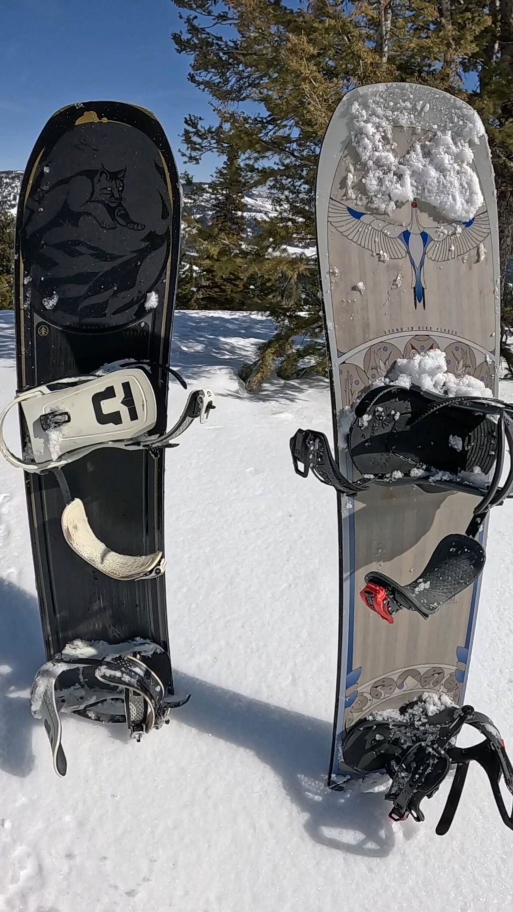 Lynx Snowboard 2026: All-Mountain Performance – CARDIFF SNOWcraft