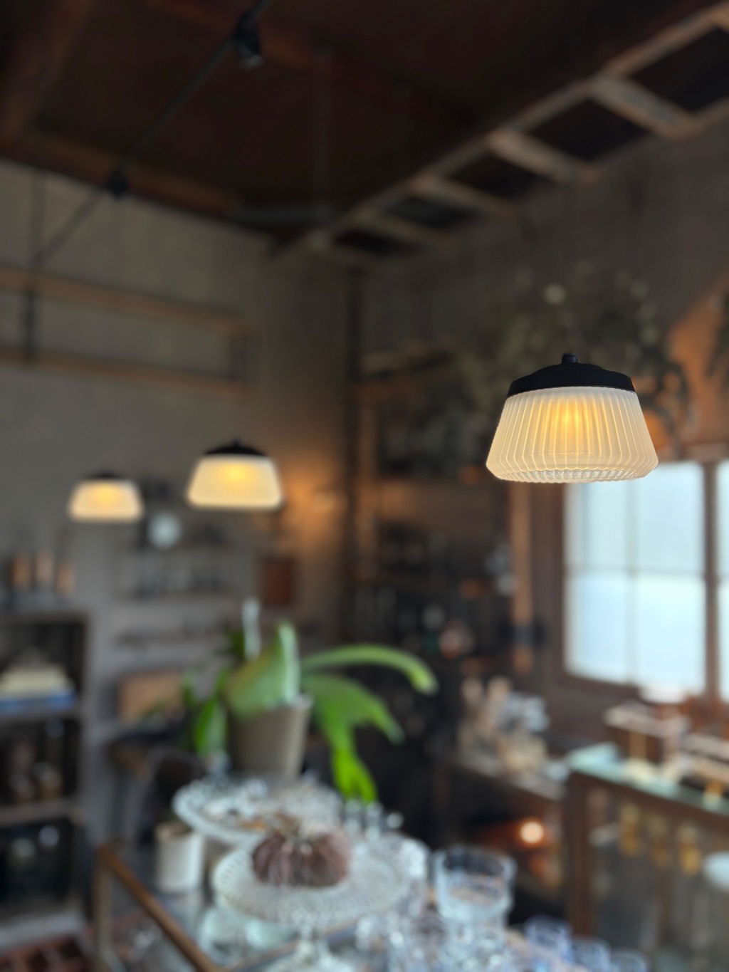 REEL LIGHT PRO