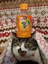 カスタマー review photo