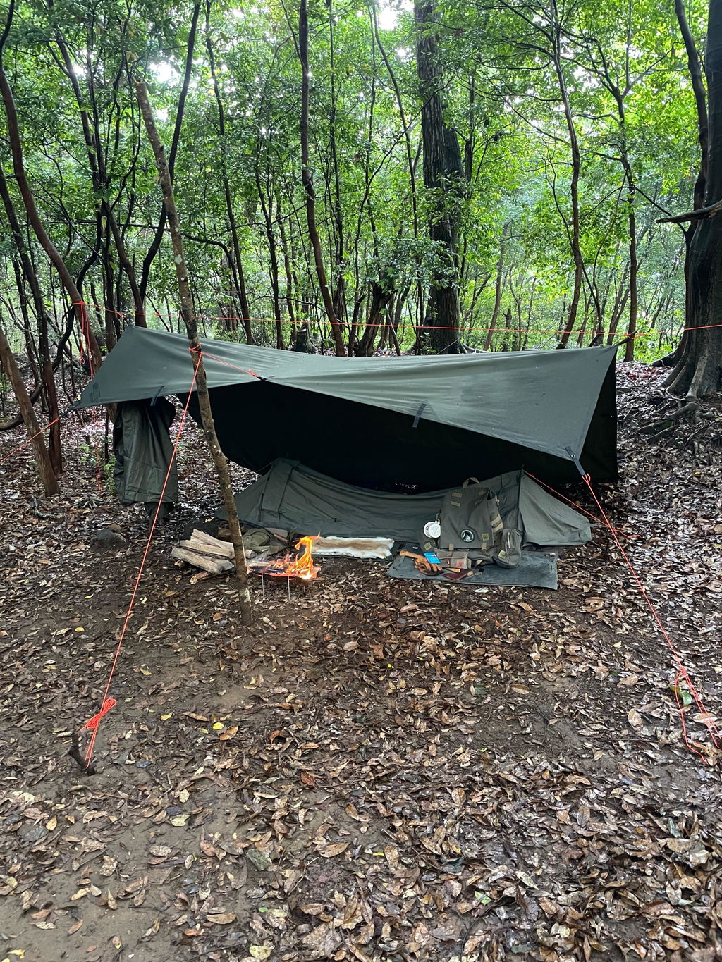 Micro Tent Plus