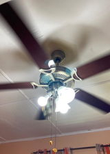 Samtheceilingfanman review photo