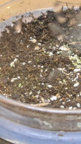 Ryan S review photo