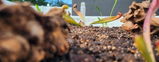 Phylicia review photo