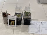 Divani Mell review photo