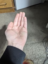 Gabe review photo