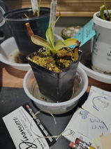 John C Havekotte review photo