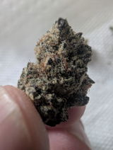 Gavin w Berardesca review photo