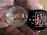Gavin w Berardesca review photo