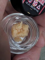 Gavin w Berardesca review photo