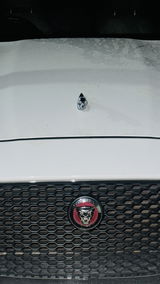 Sanoop review photo