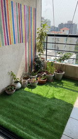 Saif review photo
