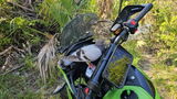 Moto Cheez review photo