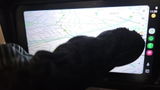 Daniel review photo