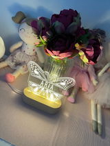 Sirle J review photo