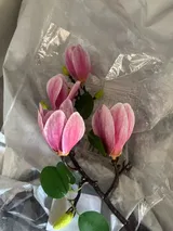 Barr review photo