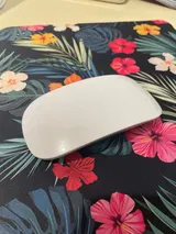 Vann review photo