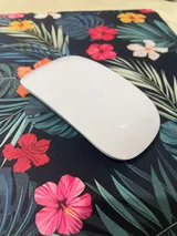 Vann review photo