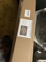 danyella review photo