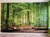 JEvans review photo