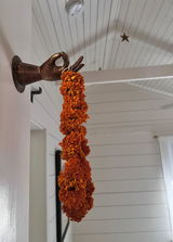 Chris Bennett of lo & billy’s place, airbnb review photo