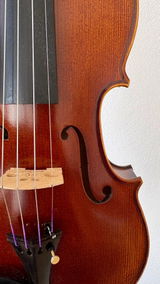 Fernando Pontes review photo