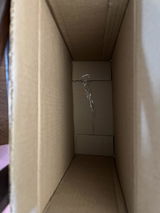 Marilia Rittner review photo