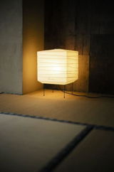Michael Johnson review photo