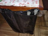 Romulo Godinho review photo
