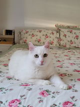 Kinga B. review photo
