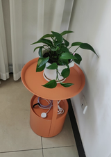 Noa review photo