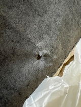 Hamel.M review photo
