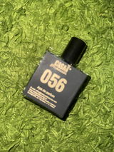 Paul review photo
