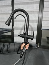 dinisia hlibac review photo