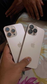 Animesh Kar review photo