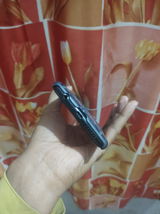 Raj Mani review photo