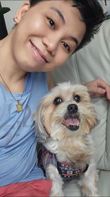chingparascansino review photo