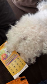 salmex_ review photo