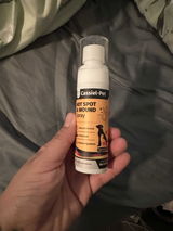 Alejandro review photo